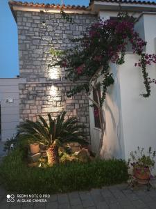 Aloe Apartment in Epidaurus