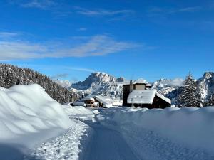 Casa Cucciolo Falcade