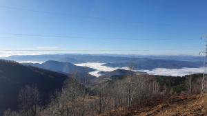 Apartments Topview Kopaonik-Dvori