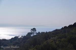 Skalopati Studios & Villa Skopelos Greece