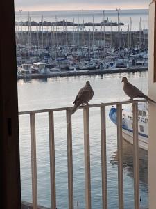 SETE VUE EXCEPTIONNELLE