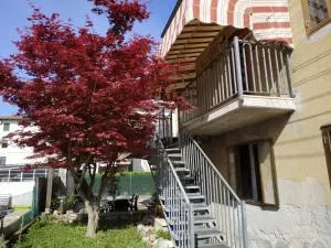 Acero - 奥卡纳诺