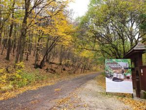 Csodaszarvas Vendégház