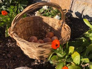 Moarhof in Oberbozen