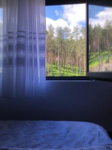 Apartman White- Vila Peković