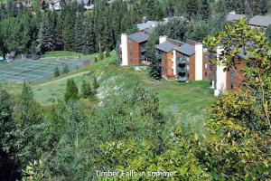 Cozy East Vail 2 Bedroom Condo #1601 w Fireplace.