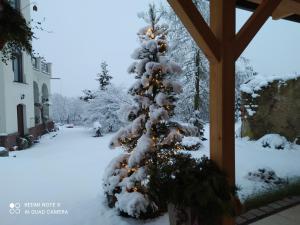 Villa Liduška s kavárnou