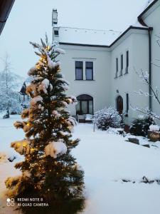 Villa Liduška s kavárnou
