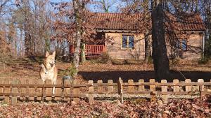 Villages vacances Le Village Enchanteur : photos des chambres