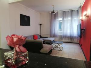 TOP CENTER spacious apartment with parking