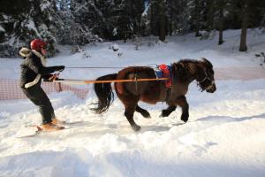 Appartements RED APPLE CARROZ Duplex de charme WIFI Parking Balcon TV Ski-Bus : photos des chambres