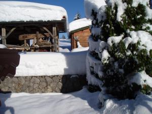 Apartment Armica