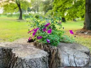 Ferienwohnung am Eiskeller - Klockow