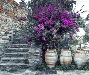 The Blue Getaway - Next to Pithara Waterfalls Andros Greece