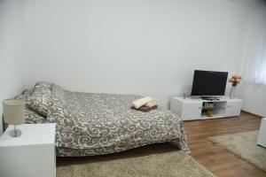 Apartmani Sofronic Loznica 1