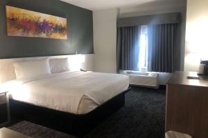 King Room - Pet Friendly/Mobility Access/Non-Smoking room in Baymont by Wyndham Madison