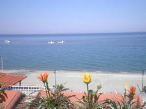 Anastasia Apartments Pieria Greece