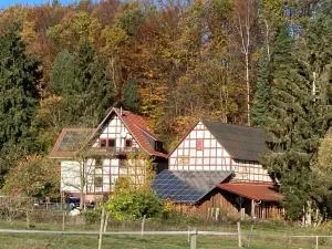 Große Ferienwohnung auf Pferdehof Mitten in der Natur - 诺伊基兴