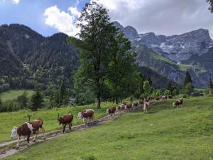 Bio Bauernhof Vorderoberlehen