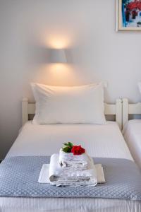 Hotel Irene Paros Greece