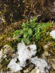 Ferienwohnung an der Alten Säge