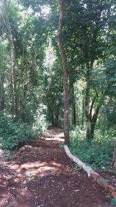 Cabañas del Paraiso