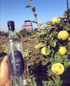 Camp Salaš Farma 47 Čenej