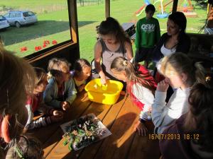 Domki Letniskowe "Leśny Zakątek" w Mieroszynie