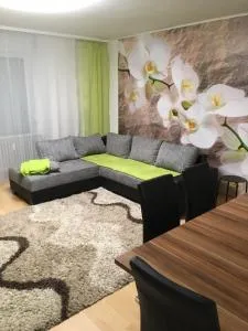 Apartament mit Balkon - Hugsweier