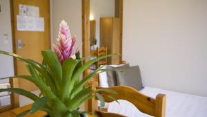Classic Family Apartment with Garden View (3 - 4 Adults) room in Fani Hotel