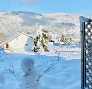 Appartements APPT 3* LE HAUT DES LACS : photos des chambres