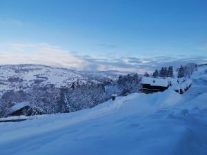 Chalets Le chalet du Brabant a 200 metres des pistes : photos des chambres