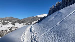 Chalets Savoie : photos des chambres