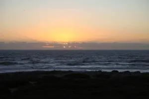 Mossel is the Gem of Yzerfontein - Darling