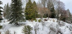 Hotels Hotel-restaurant La bonne hotesse : Chambre Double - Vue sur Jardin