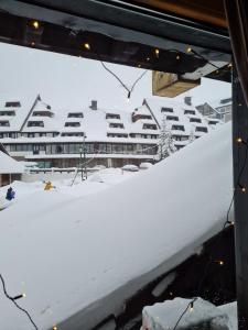 Apartman Brvenik 103, Konaci, Kopaonik