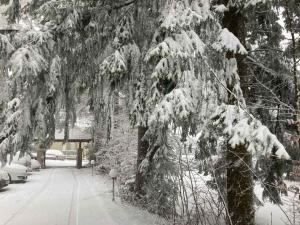 Apartman šumski vilenjak