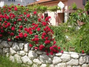 Apartmani Mediteran - Salatić