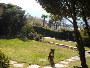 Casa Alice