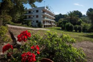 Daniils Seafront Apartment