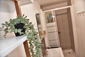Appartements Sparkling Life - Epernay centre : photos des chambres