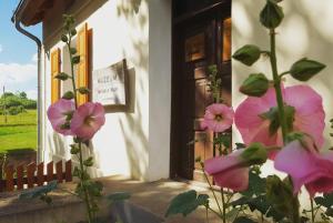 Apartament w Muzeum Michała Kajki