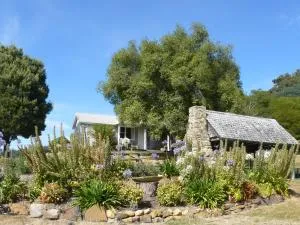 Sassafras Springs - Strathgordon