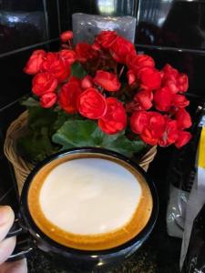 Aonang Dugong-SHA Extra Plus