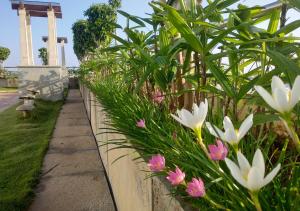 Grand Gardenia