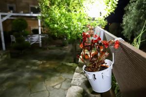 Deluxe Apartments Andreas