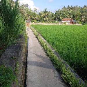 Kubu Selat Villa and Glamping