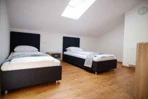 Green House Alba Iulia