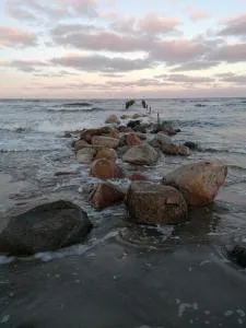 kotedza Tīkli 2 - Ķemeri