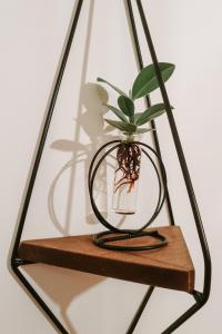 Garden Hideout - Central Apartment